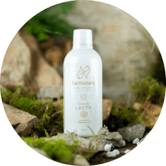 Lactobacillus deficiency